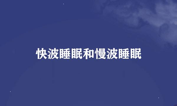 快波睡眠和慢波睡眠