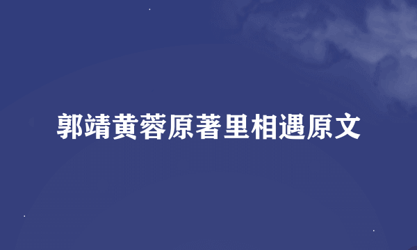 郭靖黄蓉原著里相遇原文