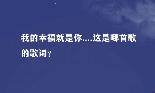 我的幸福就是你....这是哪首歌的歌词？