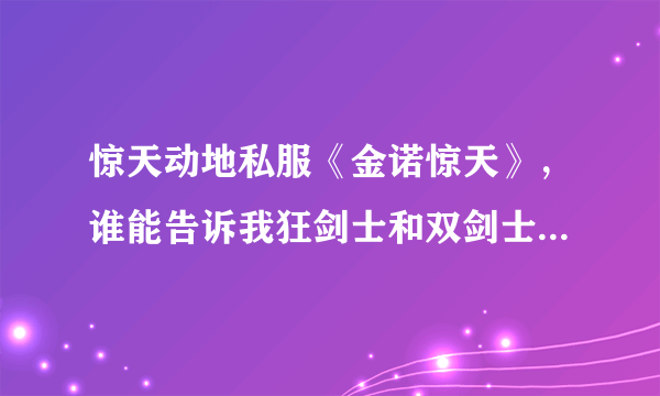 惊天动地私服《金诺惊天》，谁能告诉我狂剑士和双剑士的属性加点？应该分别学那些技能呢？