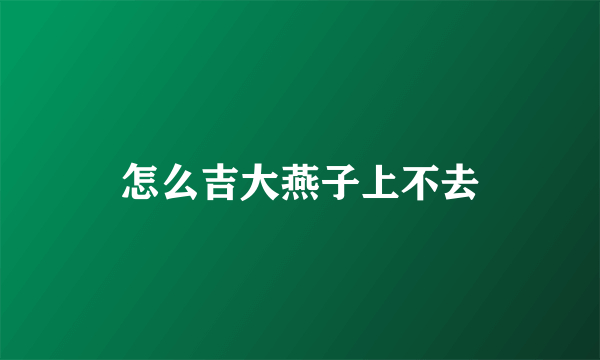 怎么吉大燕子上不去