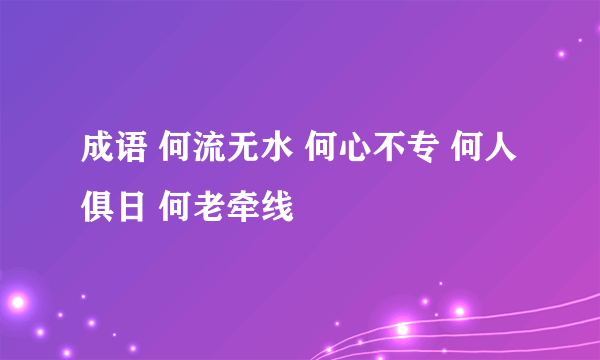 成语 何流无水 何心不专 何人俱日 何老牵线