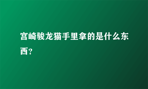 宫崎骏龙猫手里拿的是什么东西？