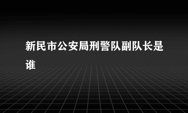 新民市公安局刑警队副队长是谁