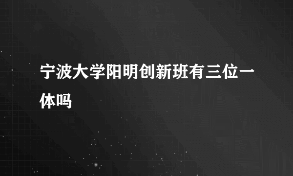 宁波大学阳明创新班有三位一体吗