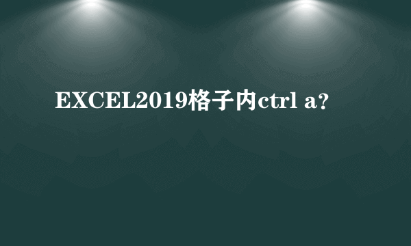 EXCEL2019格子内ctrl a？