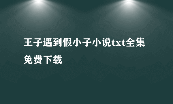 王子遇到假小子小说txt全集免费下载