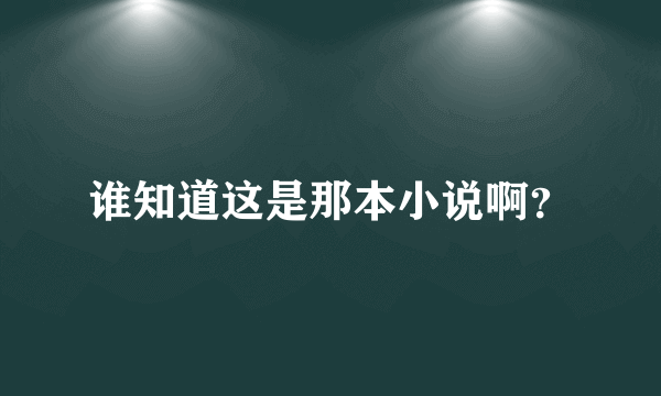 谁知道这是那本小说啊？