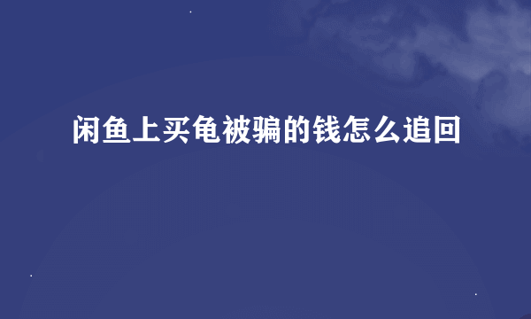 闲鱼上买龟被骗的钱怎么追回