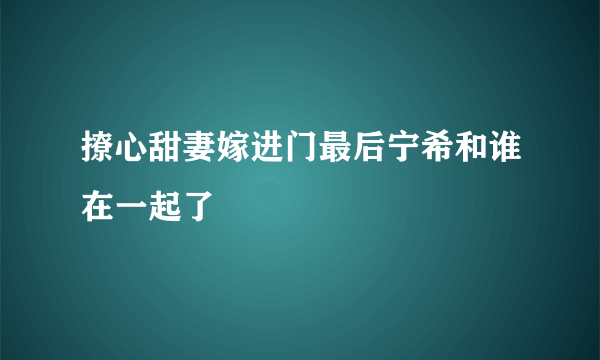 撩心甜妻嫁进门最后宁希和谁在一起了