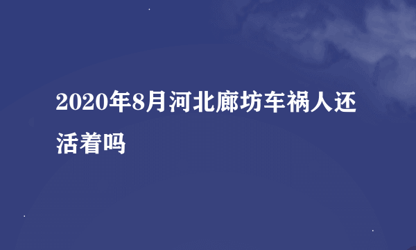 2020年8月河北廊坊车祸人还活着吗