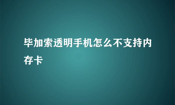 毕加索透明手机怎么不支持内存卡