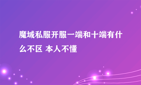 魔域私服开服一端和十端有什么不区 本人不懂