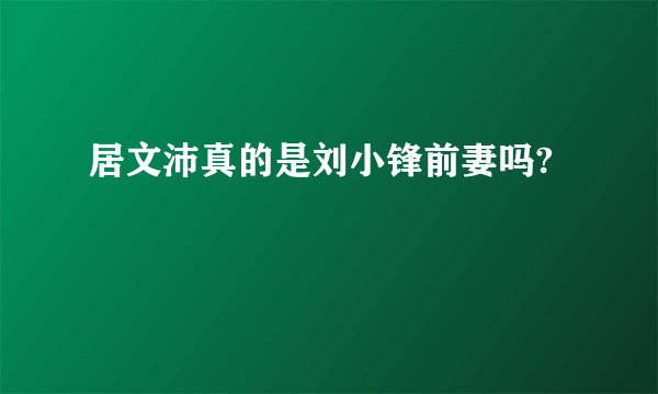 居文沛真的是刘小锋前妻吗?