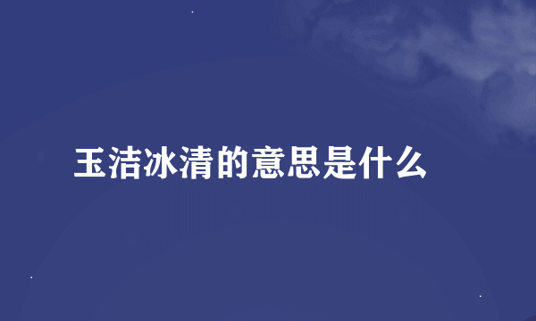 玉洁冰清的意思是什么?