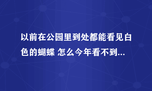 以前在公园里到处都能看见白色的蝴蝶 怎么今年看不到了 跟消失一样一只都没有啦！