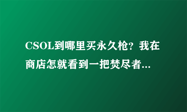 CSOL到哪里买永久枪？我在商店怎就看到一把焚尽者是永久的啊？