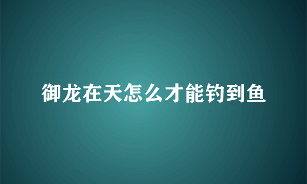 御龙在天怎么才能钓到鱼