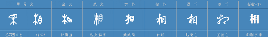 相的多音字