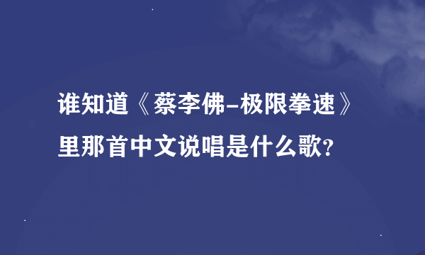 谁知道《蔡李佛-极限拳速》里那首中文说唱是什么歌？