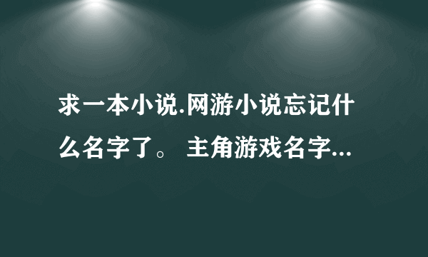 求一本小说.网游小说忘记什么名字了。 主角游戏名字叫孤独的王者。。