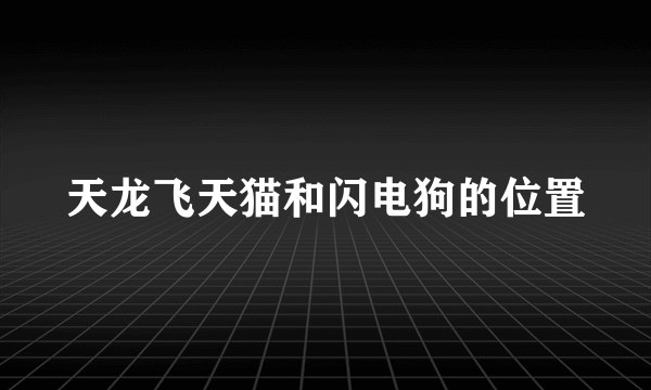 天龙飞天猫和闪电狗的位置