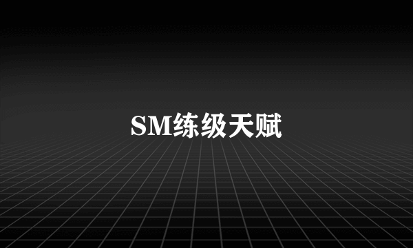 SM练级天赋