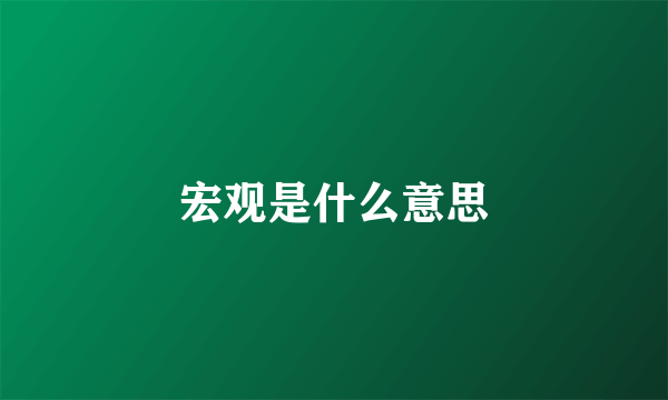 宏观是什么意思