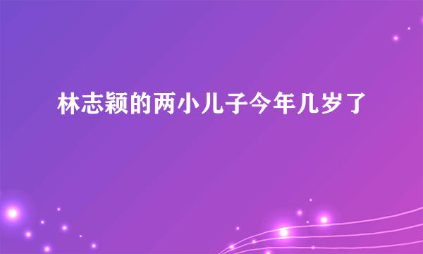 林志颖的两小儿子今年几岁了