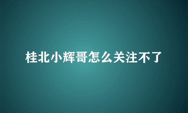 桂北小辉哥怎么关注不了