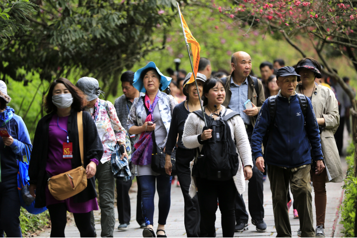 旅游管理是什么