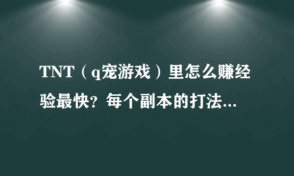 TNT（q宠游戏）里怎么赚经验最快？每个副本的打法？哪个副本最好打？