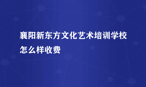 襄阳新东方文化艺术培训学校怎么样收费