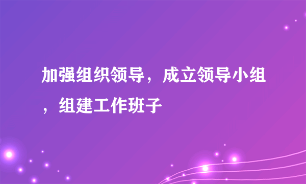 加强组织领导，成立领导小组，组建工作班子