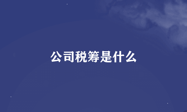 公司税筹是什么