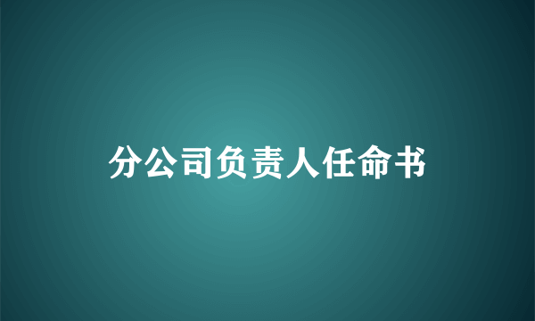 分公司负责人任命书