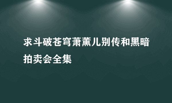 求斗破苍穹萧薰儿别传和黑暗拍卖会全集