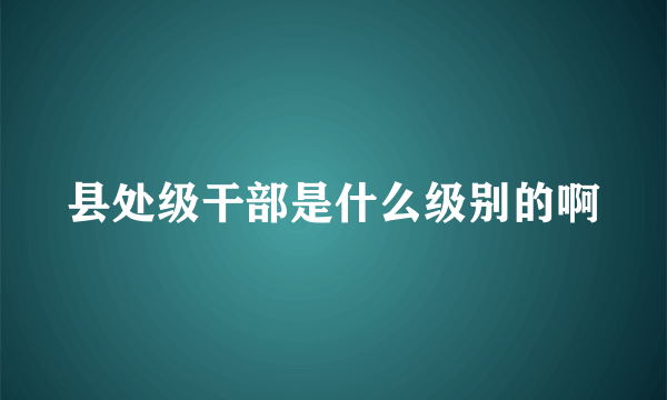 县处级干部是什么级别的啊