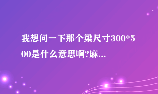 我想问一下那个梁尺寸300*500是什么意思啊?麻烦谁告诉我一下哈