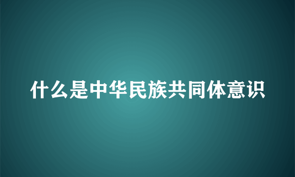 什么是中华民族共同体意识