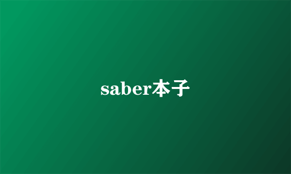 saber本子