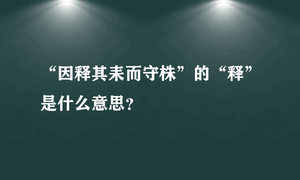 “因释其耒而守株”的“释”是什么意思？