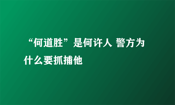 “何道胜”是何许人 警方为什么要抓捕他