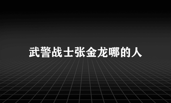 武警战士张金龙哪的人