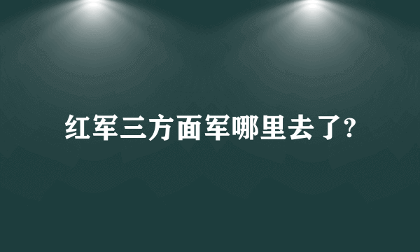 红军三方面军哪里去了?