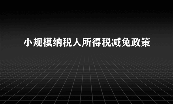 小规模纳税人所得税减免政策