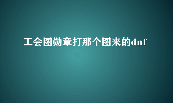 工会图勋章打那个图来的dnf