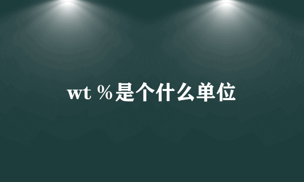 wt %是个什么单位