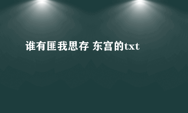 谁有匪我思存 东宫的txt