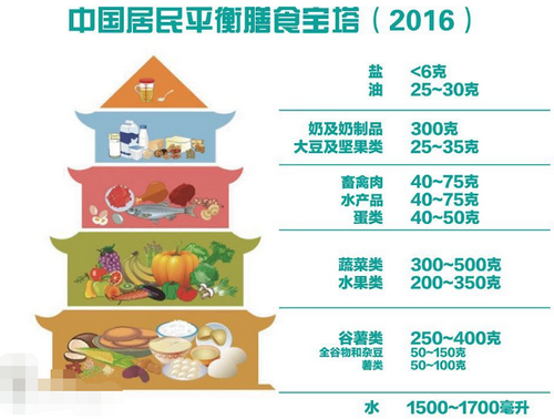 中国居民膳食宝塔图详解